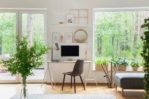 File Bankruptcy From Home Tampa, Florida.