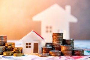 florida bankruptcy exemptions