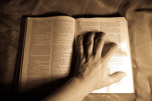 bankruptcy terms
